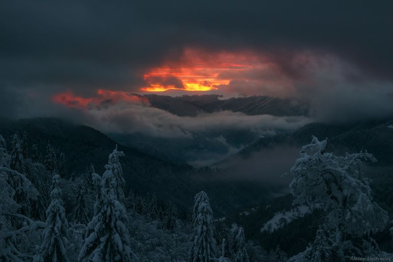 гори, закарпаття, зима, карпати, свидовець, смереки, сутінки, лопухів, лопухов, усть чорна, карпаты, закат, огненный, зимний Зарождение светаphoto preview