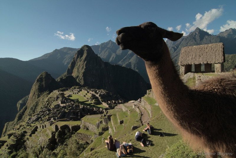Мачу-Пикчу, Перу, путешествие, приключение, туризм, горы, лама, Анды, Америка, шагнивнеизведанное Мачу-Пикчу, из серииphoto preview