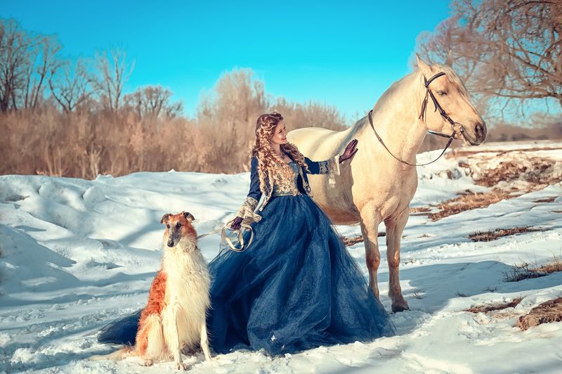 гончая, царское, люди, красиво Царская охотаphoto preview