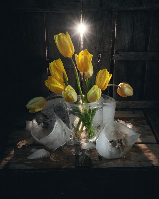 12 месяцев. Мартphoto preview