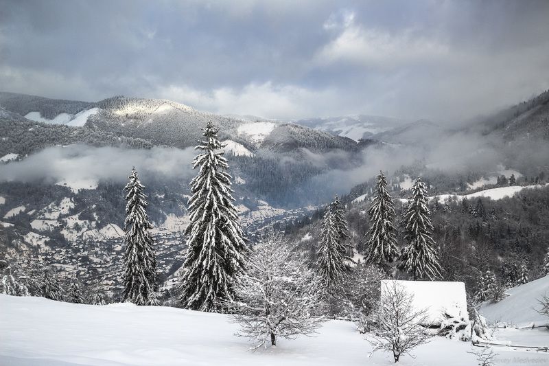 гори, закарпаття, зима, карпати, свидовець, смереки, сутінки, лопухів, лопухов, усть чорна, карпаты, хатки, село, долина Лопуховphoto preview