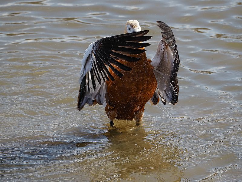 ах не снимайте, я стесняюсьphoto preview