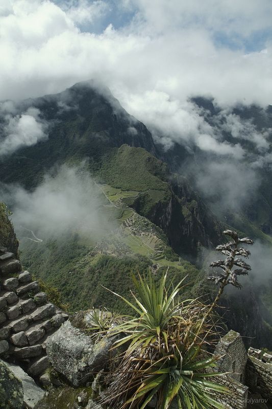 Мачу-Пикчу, Перу, путешествие, приключение, цветы, горы, облака, Анды, Америка, шагнивнеизведанное Мачу-Пикчу, из серииphoto preview