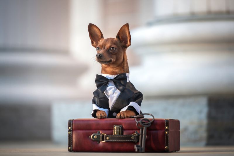 к путешествию готовphoto preview