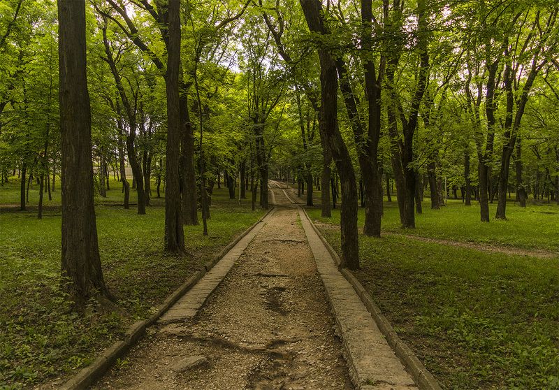 Курортный парк.photo preview