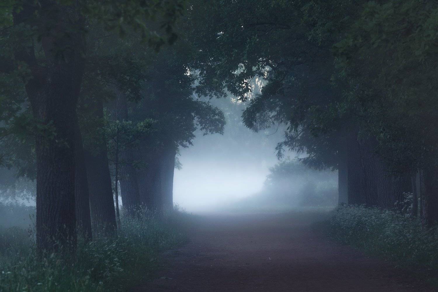 Mysterious dawn.... Автор: Таня SHE (Aiya) природа, пейзаж, царское, царское село, пушкин, landscape, nature туман , рассвет, Таня SHE (Aiya)