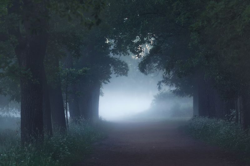 природа, пейзаж, царское, царское село, пушкин, landscape, nature туман , рассвет Mysterious dawn...photo preview