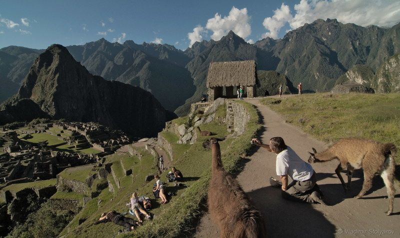 Мачу-Пикчу, Перу, путешествие, приключение, туризм, лама, горы, Анды, Америка, шагнивнеизведанное Мачу-Пикчу, из серииphoto preview
