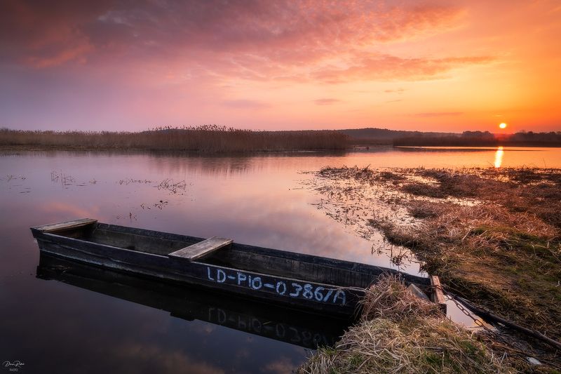 Sunshinephoto preview