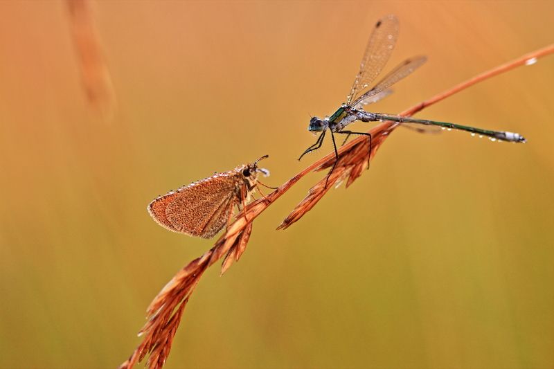 Нам надо поговоритьphoto preview
