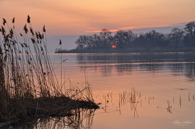 утро, восход, солнце, рассвет, апрель, туман Брезжит свет на заводи затона...photo preview