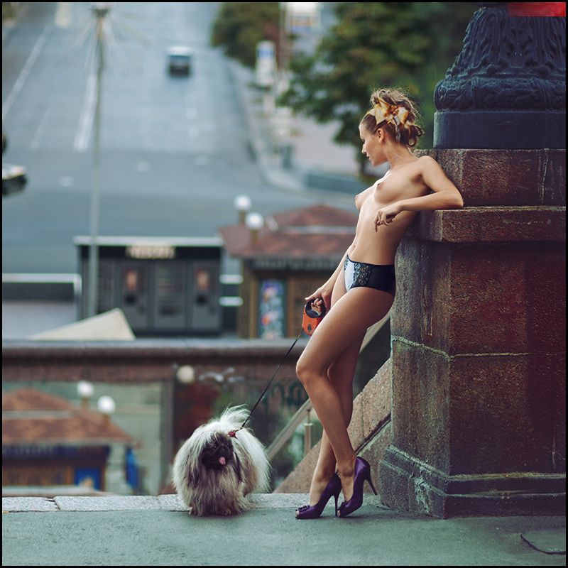 Cocos ©photo preview