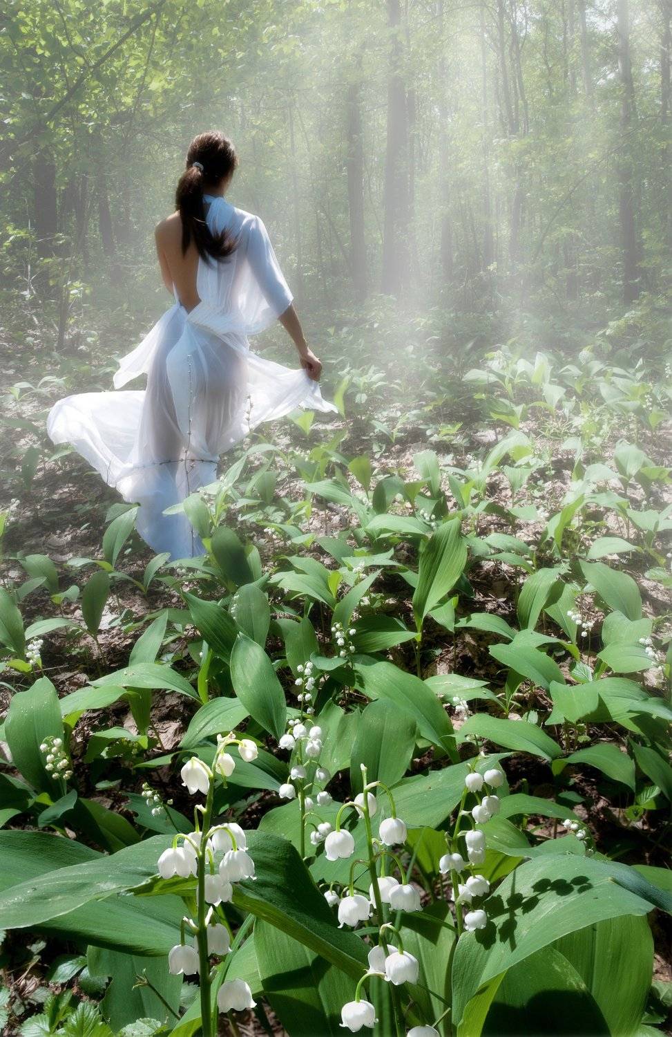 , Владимир Краснов