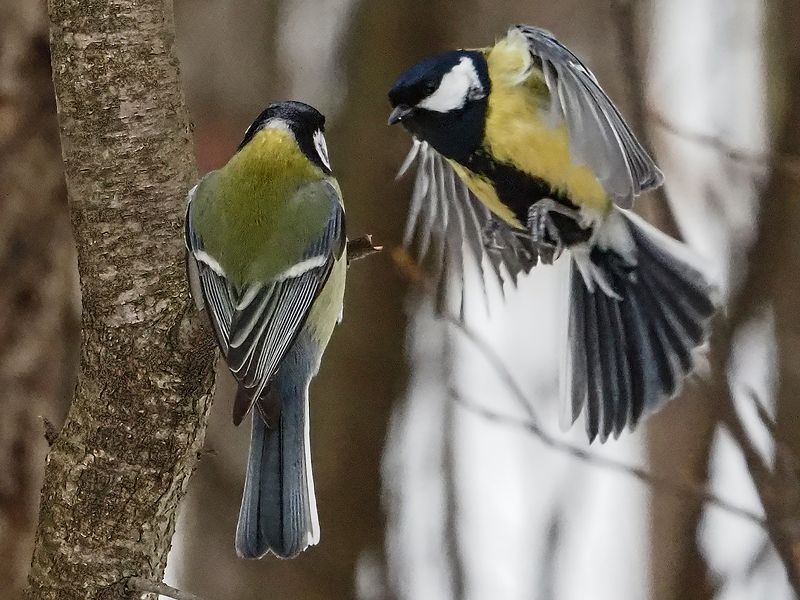 А ты кто такой?))photo preview