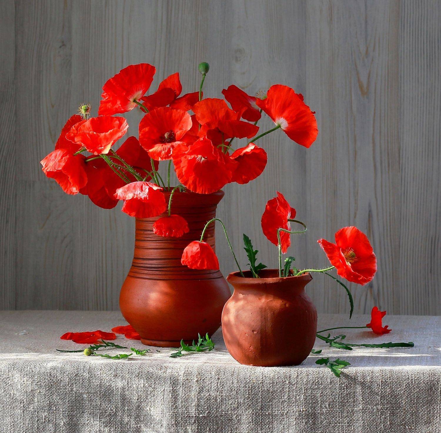 , Наталья Казанцева