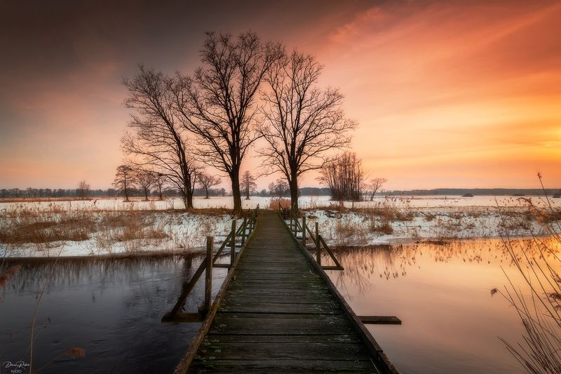 Old bridgephoto preview