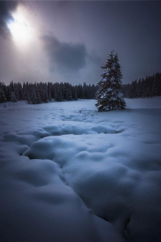#landscape#nature#winter Winter around usphoto preview