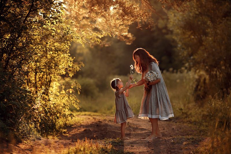 Ромашкиphoto preview