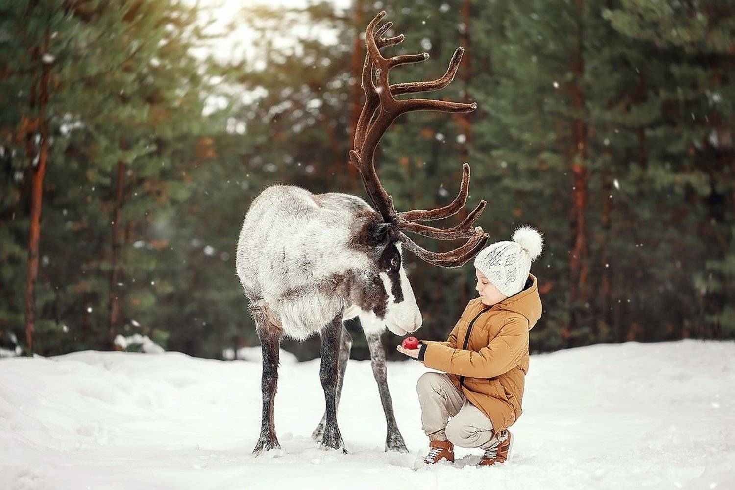 , Мила Шелест