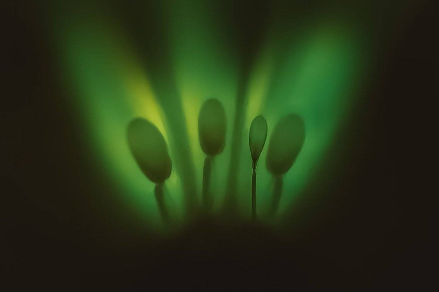 , Фролова Евгения