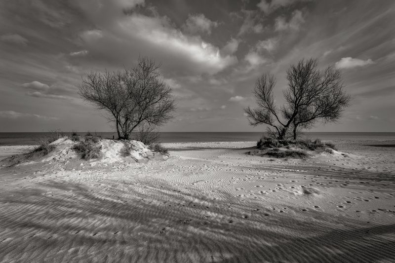 В ожидании летаphoto preview