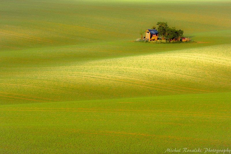 moravia, ,hills, ,rolling, ,spring, ,green, ,fields, ,agriculture, ,season, ,landscape, , Pasturephoto preview