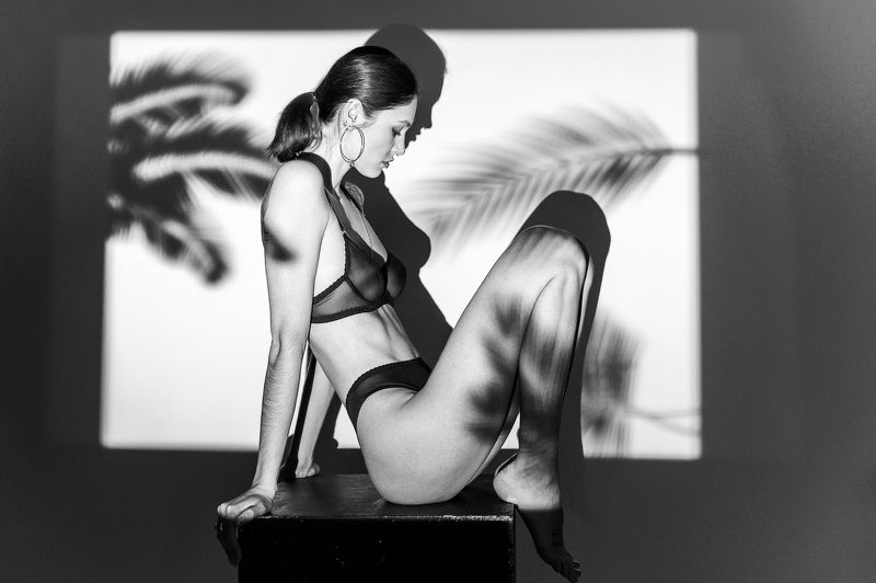 девушка, брюнетка, girl, brunette, posing, проектор, позирование, tropical, lingerie, underwear, palm, shadows, тени, пальмы, бельё, тропический Dreaming of paradisephoto preview