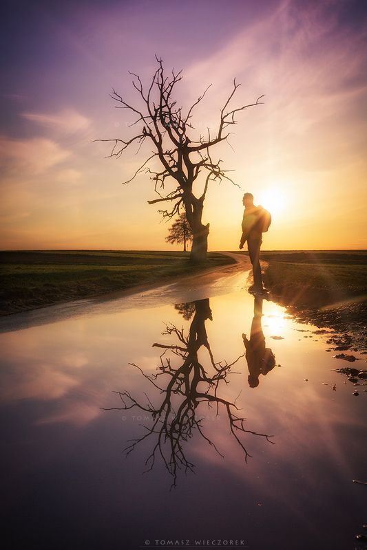 landscape, poland, light, spring, awesome, amazing, sunrise, sunset, lovely, nature, travel, reflection, trees, water, sun,clouds Lonelinessphoto preview