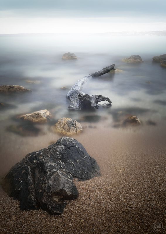 черное море, крым, севастополь Черноморское чудищеphoto preview