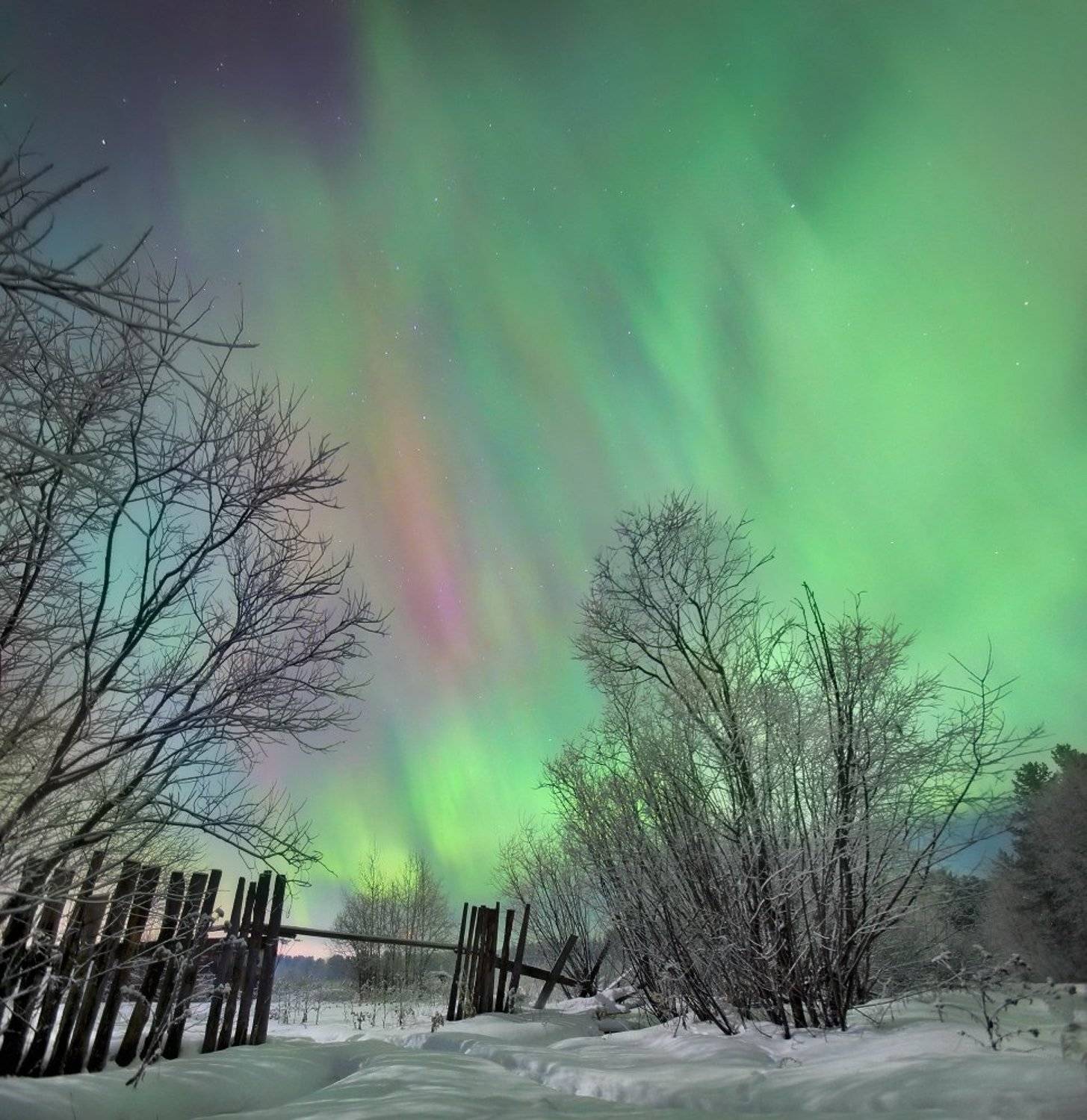Март.... Автор: Сергей Макурин , Сергей Макурин