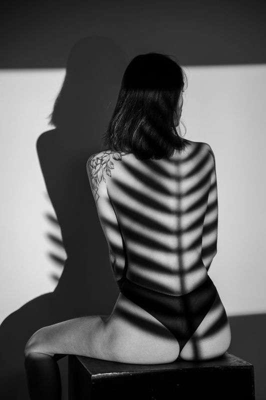 девушка, брюнетка, girl, brunette, posing, проектор, позирование, tropical, lingerie, underwear, palm, shadows, тени, пальмы, бельё, тропический Palm Beachphoto preview