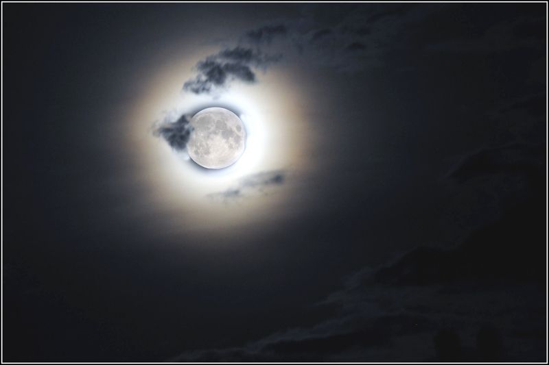 Свет луныphoto preview