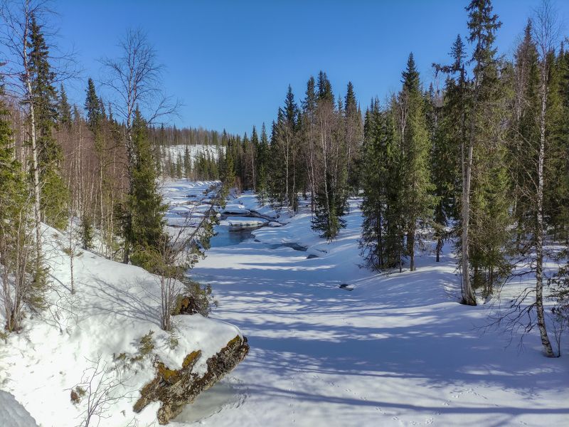 коми,изъяю,тайга,джинтуй,лес На весенних скалах Джинтуяphoto preview
