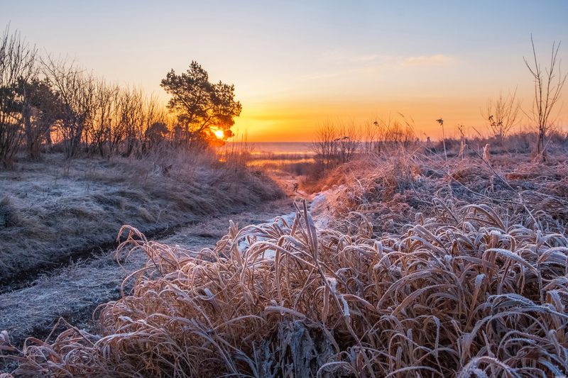 Морозный рассветphoto preview