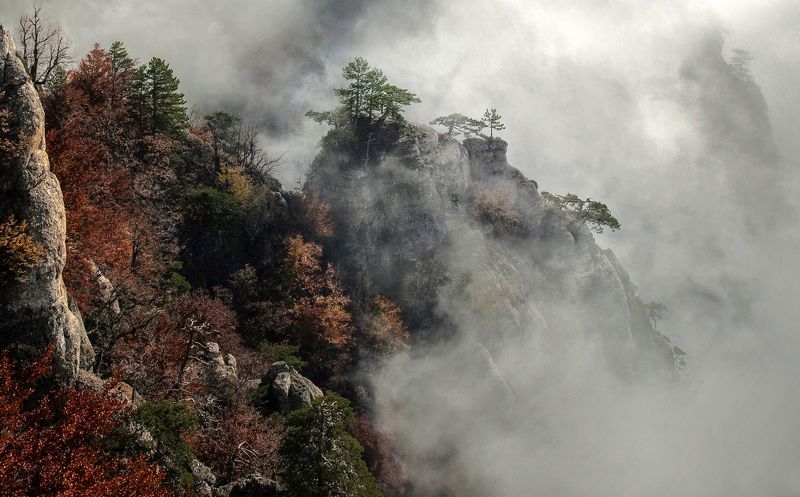 Скалыphoto preview