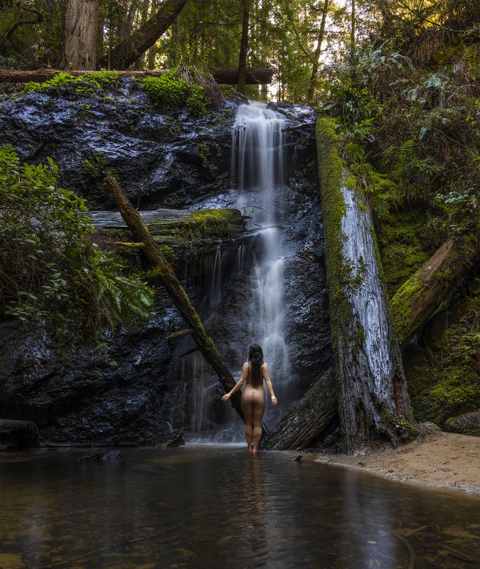 nude forest fine art Waterfallphoto preview