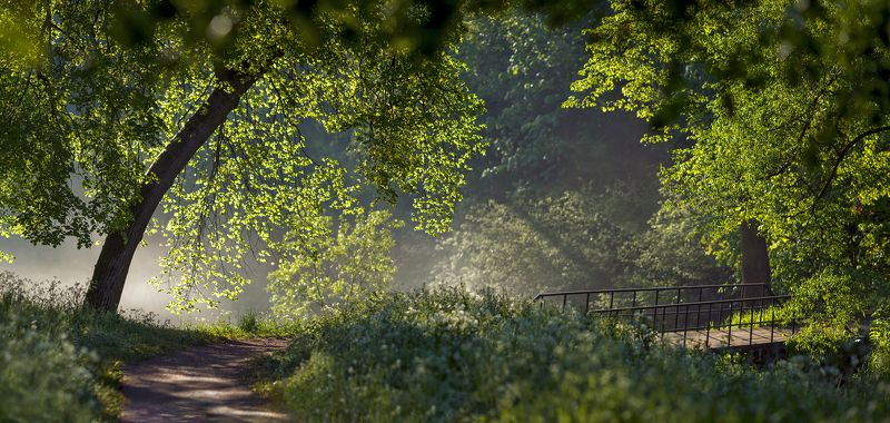 питер, пейзаж, мариентальскийпарк, мариенталь,  павловск, рассвет, царскоесело, царское, landscape, tsarskoyeselo, городской пейзаж, санкт-петербург В начале лета)photo preview