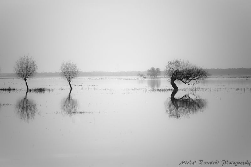 trees, ,water, ,lake, ,horizon, ,blackandwhite, ,landscapes, ,reflections, ,sky Waterworldphoto preview