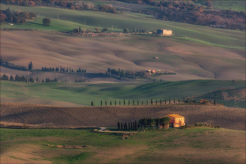 italy, san quirico d\\\'orcia,italia,вечер,италия,тоскана,кипарис,toscana,осень,tuscany,cipressi,belvedere \