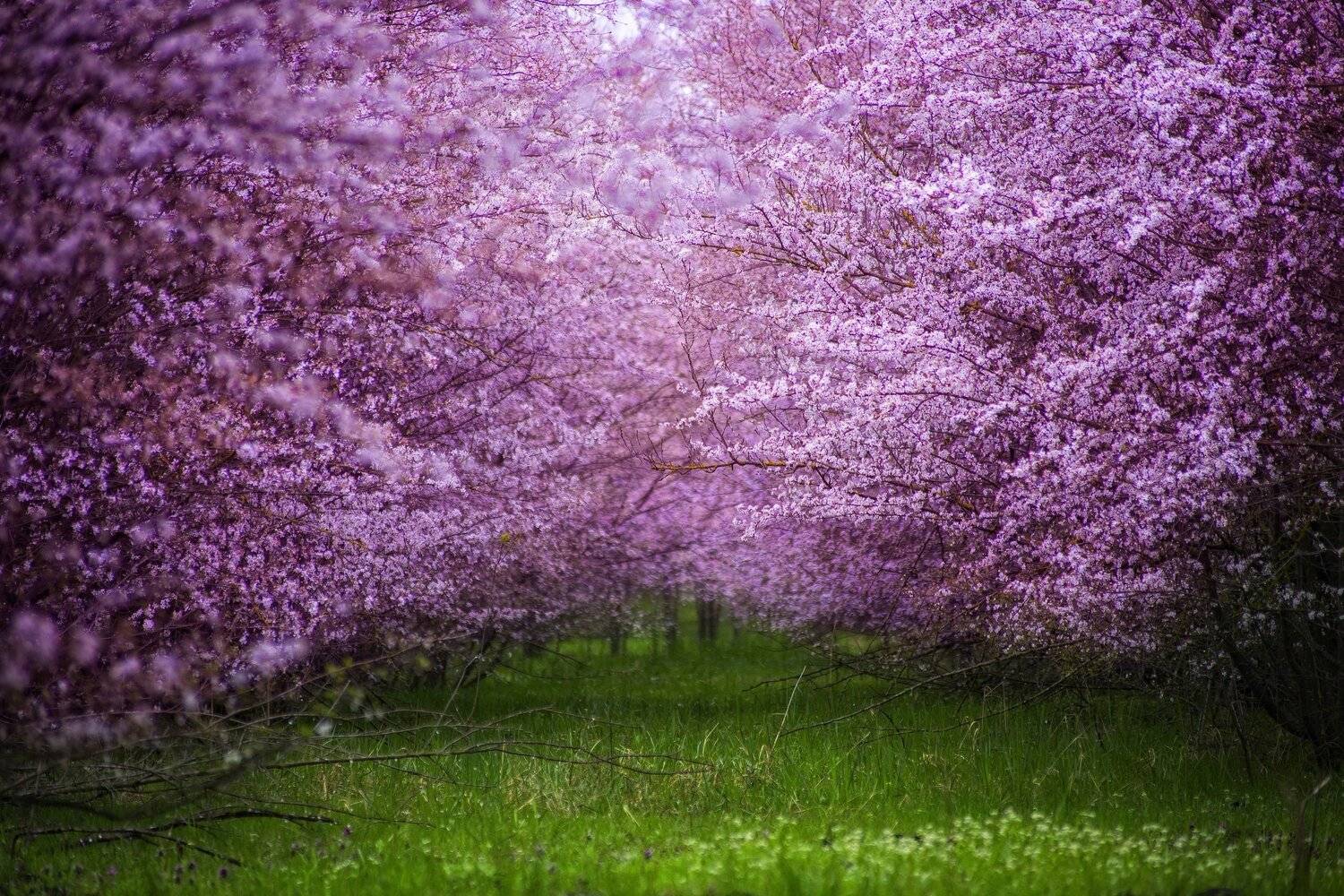 , Павел Сагайдак