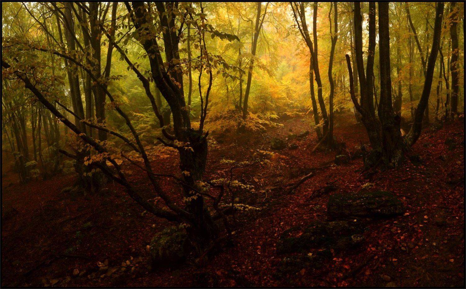 Автор: Владимир Метцгер , Владимир Метцгер