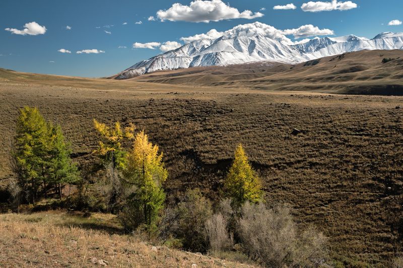 тува, тыва, осень, монгун-тайга С видом на Монгун-Тайга. Тыва.photo preview