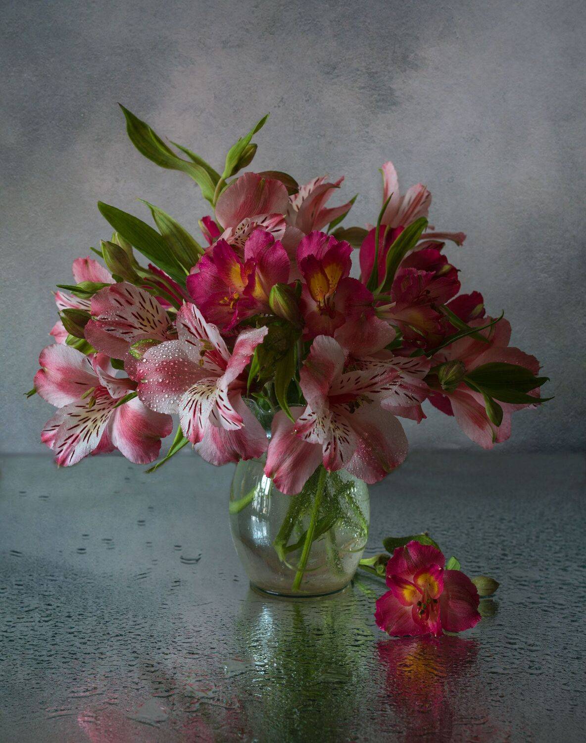 цветы,капли,букет,натюрморт, Елена Брежицкая