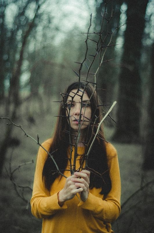 acacia photo preview