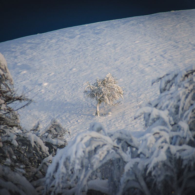 крым ***photo preview