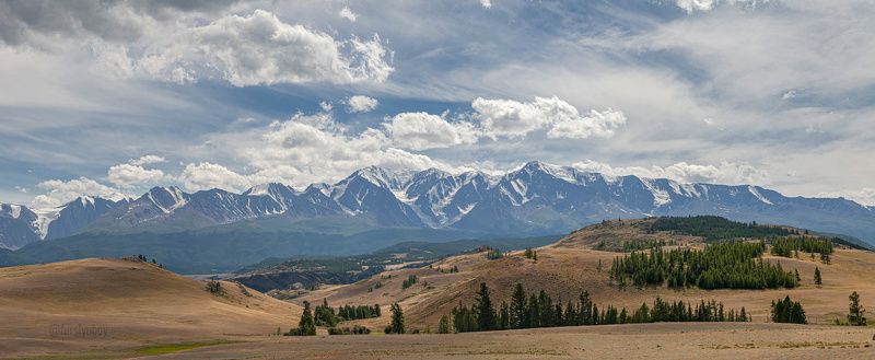 Алтай. Северо Чуйский Хребет. 2017 (15 июля)photo preview
