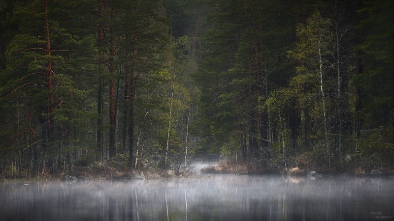 весна, лес, озеро, тайга, ленинградская область, выборгский район Кукушкаphoto preview