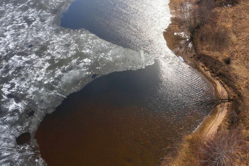 Последняя льдина фото превью