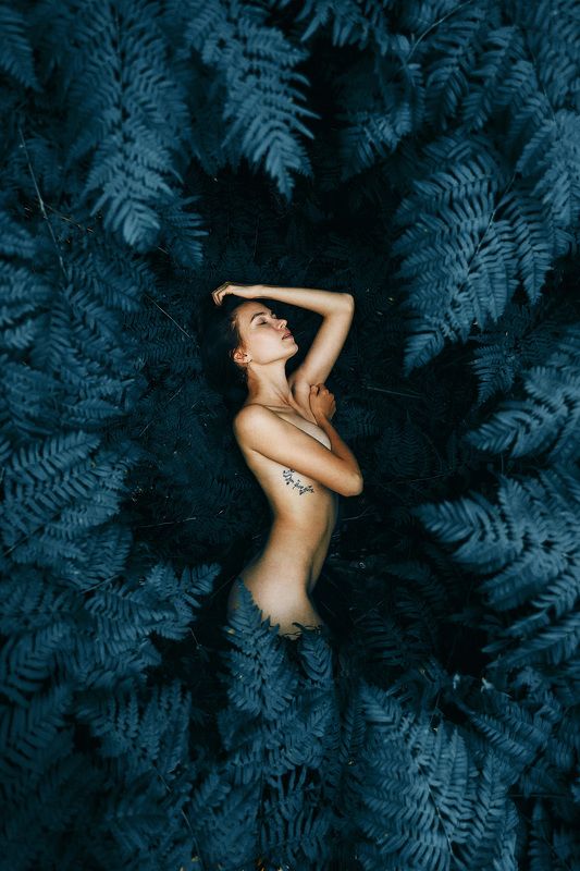 голая девушка, папоротник, природа, трава, тату, фигура, девушка, тайга папоротникphoto preview