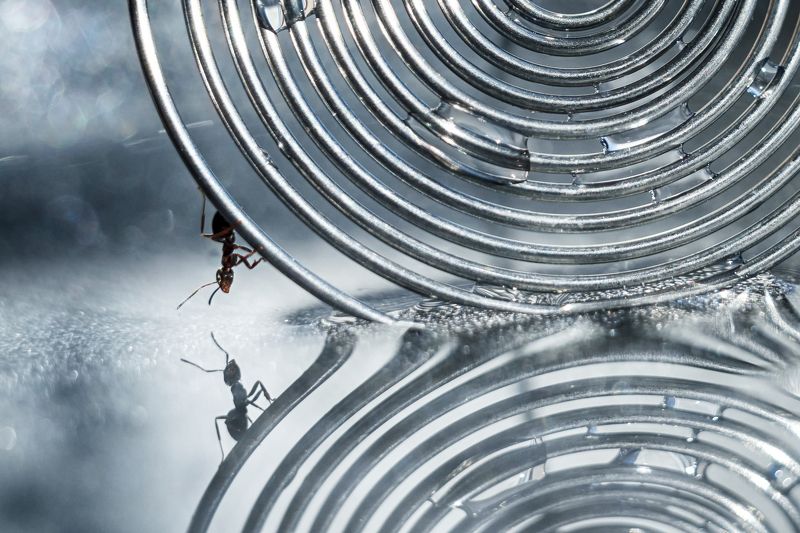 Параллельные миры. Или путешествие по замкнутому кругу...photo preview